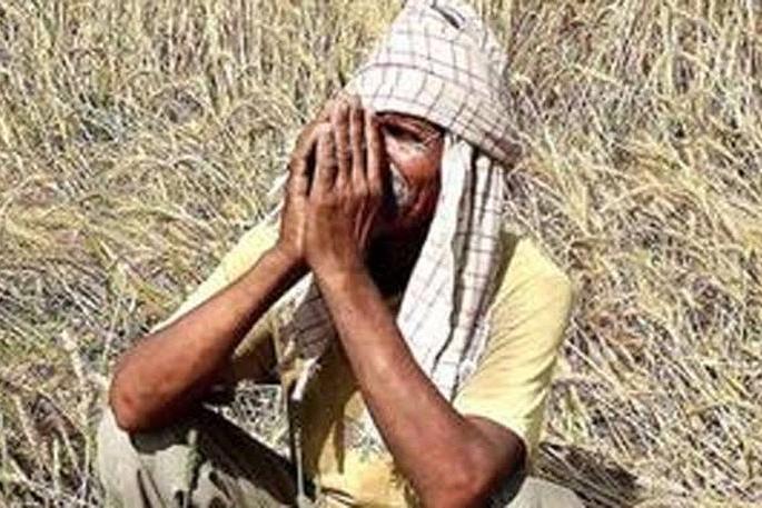 Allotment of 120 crores of aid to farmers | शेतकऱ्यांना १२० कोटींच्या मदतीचे वाटप