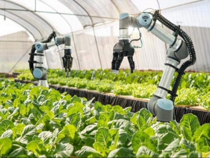 Ai in Agriculture : Not only the IT sector, now Ai will also be used in agriculture | फक्त IT क्षेत्रच नाही, तर आता शेतातही Ai चा वापर होणार; पीक उत्पादन वाढणार... Ai in Agriculture : Not only the IT sector, now Ai will also be used in agriculture | फक्त IT क्षेत्रच नाही, तर आता शेतातही Ai चा वापर होणार; पीक उत्पादन वाढणार...