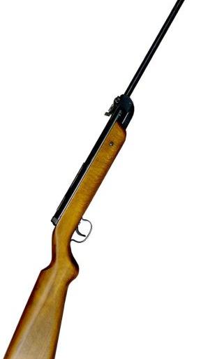 This horrible thing happened in the air gun firing | एअर गन चालविण्याच्या नादात घडले हे भयंकर This horrible thing happened in the air gun firing | एअर गन चालविण्याच्या नादात घडले हे भयंकर