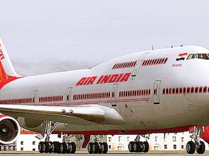 The ants stopped the flight of the plane, there was a strange drama at the Delhi airport | मुंग्यांनी विमानाचे उड्डाण रोखले, दिल्ली विमानतळावर अजबच नाट्य रंगले The ants stopped the flight of the plane, there was a strange drama at the Delhi airport | मुंग्यांनी विमानाचे उड्डाण रोखले, दिल्ली विमानतळावर अजबच नाट्य रंगले