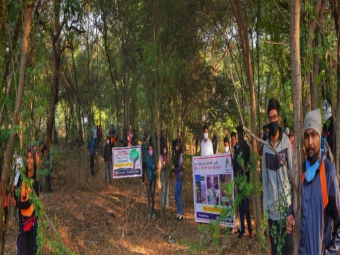 New Tree Act bans Ajni IMS project | नव्या वृक्ष कायद्याने अजनी आयएमएस प्रकल्पाला पायबंद New Tree Act bans Ajni IMS project | नव्या वृक्ष कायद्याने अजनी आयएमएस प्रकल्पाला पायबंद