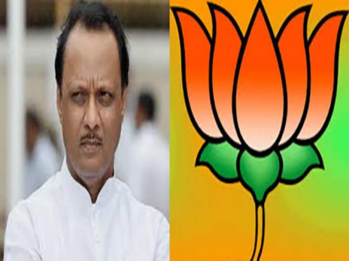 Interview of 9 persons from BJP for Baramati seat | बारामतीच्या जागेसाठी भाजपकडून ८ जणांच्या मुलाखती Interview of 9 persons from BJP for Baramati seat | बारामतीच्या जागेसाठी भाजपकडून ८ जणांच्या मुलाखती