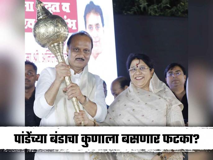 Maharashtra Assembly election 2024 First Rebellion in Mahayuti, Ajit Pawar NCP Abha Pandey East Nagpur Assembly Constituency | Maharashtra Assembly election 2024: महायुतीत पहिली बंडखोरी! आभा पांडे यांनी पुर्व नागपुरातून भरला अर्ज Maharashtra Assembly election 2024 First Rebellion in Mahayuti, Ajit Pawar NCP Abha Pandey East Nagpur Assembly Constituency | Maharashtra Assembly election 2024: महायुतीत पहिली बंडखोरी! आभा पांडे यांनी पुर्व नागपुरातून भरला अर्ज