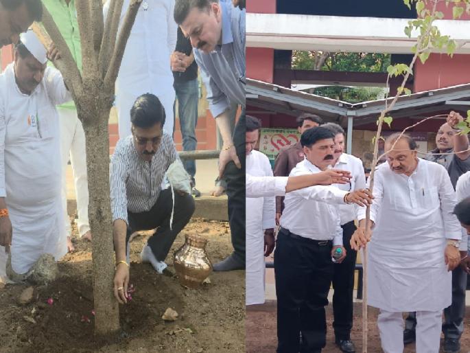 Immersion of ashes in the tree planted by Ajit Pawar in Satara | साताऱ्यात अजितदादांनी लावलेल्या झाडालाच अस्थींचे विसर्जन Immersion of ashes in the tree planted by Ajit Pawar in Satara | साताऱ्यात अजितदादांनी लावलेल्या झाडालाच अस्थींचे विसर्जन