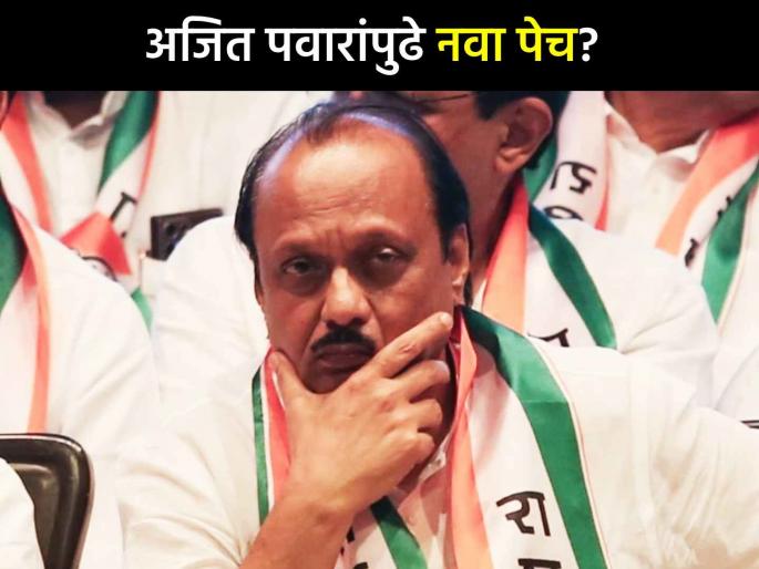 Now Ajit Pawar will not be able to say let the crime be proven Trolled by Sharad Pawar led NCP over Manikrao Kokate Conviction | "आता अजित पवार म्हणू शकणार नाहीत की गुन्हा सिद्ध होऊ द्या"; शरद पवार गटाचा खोचक टोला Now Ajit Pawar will not be able to say let the crime be proven Trolled by Sharad Pawar led NCP over Manikrao Kokate Conviction | "आता अजित पवार म्हणू शकणार नाहीत की गुन्हा सिद्ध होऊ द्या"; शरद पवार गटाचा खोचक टोला