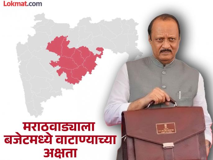 No strong investment for Marathwada in state budget; only water grid survey, lack of new schemes | मराठवाड्याला बजेटमध्ये वाटाण्याच्या अक्षता; वॉटरग्रीड पाहणीपुरतेच, नवीन योजनांचा अभाव No strong investment for Marathwada in state budget; only water grid survey, lack of new schemes | मराठवाड्याला बजेटमध्ये वाटाण्याच्या अक्षता; वॉटरग्रीड पाहणीपुरतेच, नवीन योजनांचा अभाव