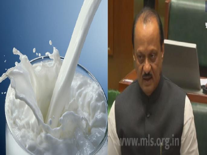 Strict action will be taken against those who adulterate milk, Deputy Chief Minister Ajit Pawar announced | दुधात भेसळ करणाऱ्यांवर कडक कारवाई होणार, उपमुख्यमंत्री अजित पवारांची घोषणा