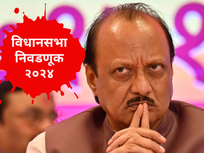 Maharashtra Vidhan Sabha 2024: Will Ajit Pawar Implement 'Shirur Pattern' in sindkhed raja vidhan sabha | Maharashtra Vidhan Sabha 2024: अजित पवार 'या' मतदारसंघात 'शिरूर पॅटर्न' राबविणार का? Maharashtra Vidhan Sabha 2024: Will Ajit Pawar Implement 'Shirur Pattern' in sindkhed raja vidhan sabha | Maharashtra Vidhan Sabha 2024: अजित पवार 'या' मतदारसंघात 'शिरूर पॅटर्न' राबविणार का?