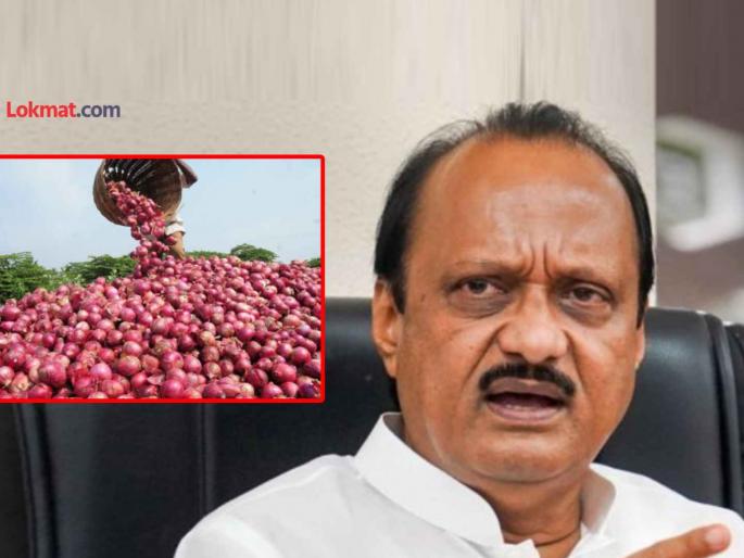 Ajit Pawar letter to the central minister Piyush Goyal to remove export duty on onion to prevent losses of farmers | कांदा शेतकऱ्यांचे नुकसान टाळण्यासाठी निर्यातशुल्क हटवा; अजित पवार यांचे केंद्र सरकारला पत्र Ajit Pawar letter to the central minister Piyush Goyal to remove export duty on onion to prevent losses of farmers | कांदा शेतकऱ्यांचे नुकसान टाळण्यासाठी निर्यातशुल्क हटवा; अजित पवार यांचे केंद्र सरकारला पत्र