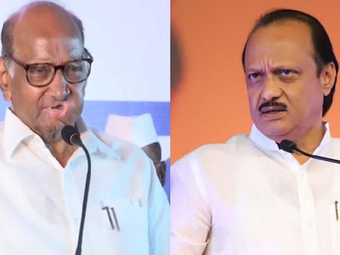 Maharashtra Assembly Election 2024: Release advertisement within 36 hours, Supreme Court directs Ajit Pawar group | 36 तासांत जाहिरात प्रसिद्ध करा, सर्वोच्च न्यायालयाचे अजित पवार गटाला निर्देश Maharashtra Assembly Election 2024: Release advertisement within 36 hours, Supreme Court directs Ajit Pawar group | 36 तासांत जाहिरात प्रसिद्ध करा, सर्वोच्च न्यायालयाचे अजित पवार गटाला निर्देश