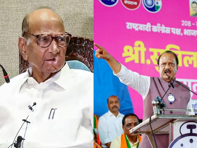 Maharashtra Assembly Vidhan Sabha Election: Ajit Pawar also announced his retirement date from politics; He said, then the same cardboard will work after Sharad pawar phaltan baramati politics | अजितदादांनीही राजकारणातून निवृत्तीची वेळ घोषित केली; म्हणाले, तोवर हाच पठ्ठ्या काम करणार