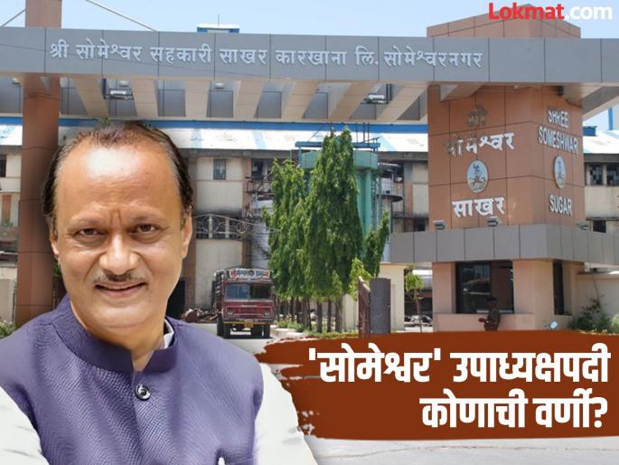 Who will be appointed as the vice-president of Someshwar Deputy Chief Minister Ajit Pawar will take the decision | 'सोमेश्वर' उपाध्यक्षपदी कोणाची वर्णी? उपमुख्यमंत्री अजित पवार घेणार निर्णय Who will be appointed as the vice-president of Someshwar Deputy Chief Minister Ajit Pawar will take the decision | 'सोमेश्वर' उपाध्यक्षपदी कोणाची वर्णी? उपमुख्यमंत्री अजित पवार घेणार निर्णय