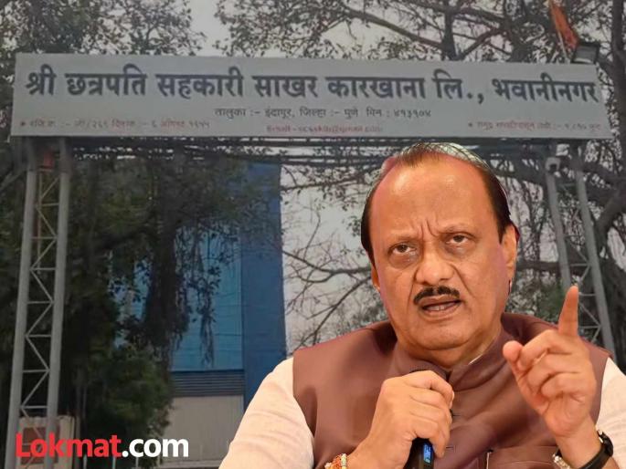 Shree Chhatrapati Cooperative Sugar Factory Ajit pawar will take oral exam for candidacy for the post of director of Chhatrapati | श्री छत्रपती सहकारी साखर कारखान्याच्या संचालकपदाच्या उमेदवारीसाठी ‘अजितदादा’ घेणार तोंडी परीक्षा Shree Chhatrapati Cooperative Sugar Factory Ajit pawar will take oral exam for candidacy for the post of director of Chhatrapati | श्री छत्रपती सहकारी साखर कारखान्याच्या संचालकपदाच्या उमेदवारीसाठी ‘अजितदादा’ घेणार तोंडी परीक्षा