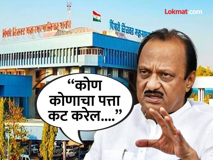 pimpari-chinchwad ajit pawar groups all-out bid for Municipal Corporation; NCP preparing to fight on its own | Pimpari-Chinchwad : महापालिकेसाठी अजितदादा गटाचा सवतासुभा;राष्ट्रवादी स्वबळावर लढण्याच्या तयारीत pimpari-chinchwad ajit pawar groups all-out bid for Municipal Corporation; NCP preparing to fight on its own | Pimpari-Chinchwad : महापालिकेसाठी अजितदादा गटाचा सवतासुभा;राष्ट्रवादी स्वबळावर लढण्याच्या तयारीत
