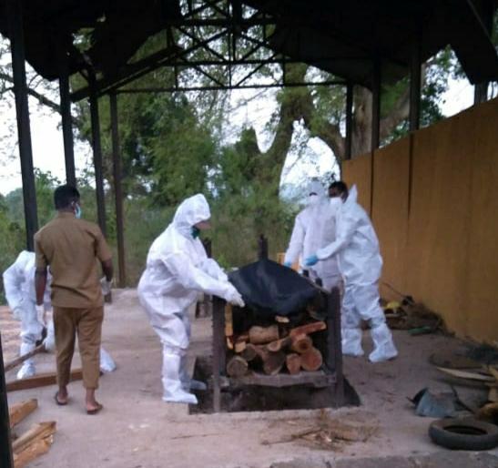She is the height of a man | ती बी माणसचं हाईत..घाबरु नगसा..काय बी हुईत नाय She is the height of a man | ती बी माणसचं हाईत..घाबरु नगसा..काय बी हुईत नाय
