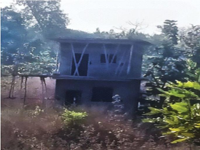 Construction in a non-forest area | वनेतर कामांस बंदी असलेल्या जागेत बांधकाम Construction in a non-forest area | वनेतर कामांस बंदी असलेल्या जागेत बांधकाम