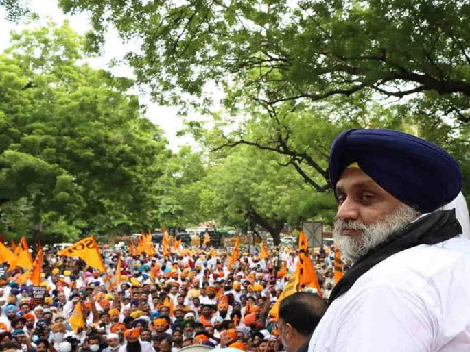 akali Dal Morcha in Delhi against centre farm law pdc | कृषी कायद्याच्या विरोधात अकाली दलाचा दिल्लीत मोर्चा; ‘ब्लॅक फ्रायडे प्रोटेस्ट मार्च’ काढून निषेध akali Dal Morcha in Delhi against centre farm law pdc | कृषी कायद्याच्या विरोधात अकाली दलाचा दिल्लीत मोर्चा; ‘ब्लॅक फ्रायडे प्रोटेस्ट मार्च’ काढून निषेध