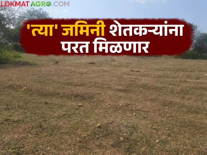 Farmers will get back 'those' lands by paying five percent of the donation; know the details | पाच टक्के नजराणा भरून 'त्या' जमिनी शेतकऱ्यांना परत मिळणार; जाणून घ्या सविस्तर Farmers will get back 'those' lands by paying five percent of the donation; know the details | पाच टक्के नजराणा भरून 'त्या' जमिनी शेतकऱ्यांना परत मिळणार; जाणून घ्या सविस्तर