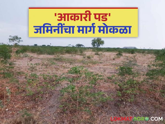 About 5000 acres of land that was lying idle for 30 to 40 years is back in the hands of farmers; What is the matter? Read in detail | ३० ते ४० वर्षे पडून असलेली सुमारे ५००० एकर जमीन पुन्हा शेतकऱ्यांच्या ताब्यात; काय आहे प्रकरण? वाचा सविस्तर About 5000 acres of land that was lying idle for 30 to 40 years is back in the hands of farmers; What is the matter? Read in detail | ३० ते ४० वर्षे पडून असलेली सुमारे ५००० एकर जमीन पुन्हा शेतकऱ्यांच्या ताब्यात; काय आहे प्रकरण? वाचा सविस्तर