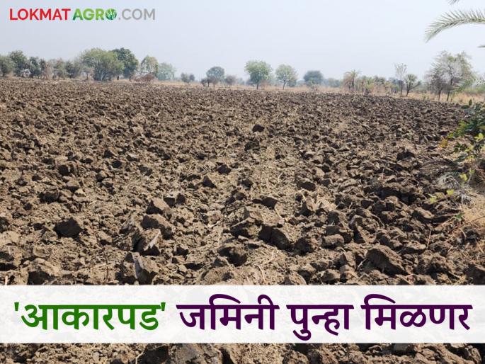 The government will get back the acquired lands by paying 25 percent of the valued land price; Read in detail | सरकारला २५ टक्के नजराणा भरून आकारपड जमिनी परत मिळणार; वाचा सविस्तर The government will get back the acquired lands by paying 25 percent of the valued land price; Read in detail | सरकारला २५ टक्के नजराणा भरून आकारपड जमिनी परत मिळणार; वाचा सविस्तर