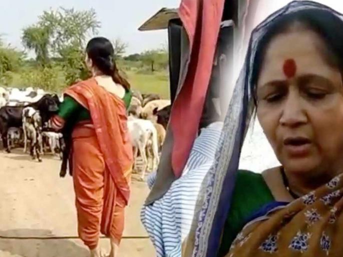 Silvassa more expensive than Goa! Cine makers moved from Goa | गोव्यापेक्षा सिल्वासा महाग ! सिने निर्मात्यांनी गोव्यातून बस्तान हलवले Silvassa more expensive than Goa! Cine makers moved from Goa | गोव्यापेक्षा सिल्वासा महाग ! सिने निर्मात्यांनी गोव्यातून बस्तान हलवले