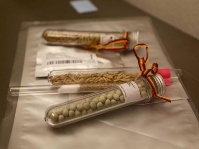 170 seed samples taken in Akola district | अकोला  जिल्ह्यात बियाण्यांचे घेतले १७० नमुने 170 seed samples taken in Akola district | अकोला  जिल्ह्यात बियाण्यांचे घेतले १७० नमुने