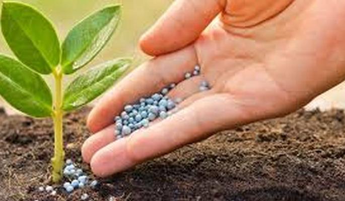 Fertilizers, seeds will be delivered to farmers! | शेतकऱ्यांना खते, बियाणे घरपोच देणार! Fertilizers, seeds will be delivered to farmers! | शेतकऱ्यांना खते, बियाणे घरपोच देणार!