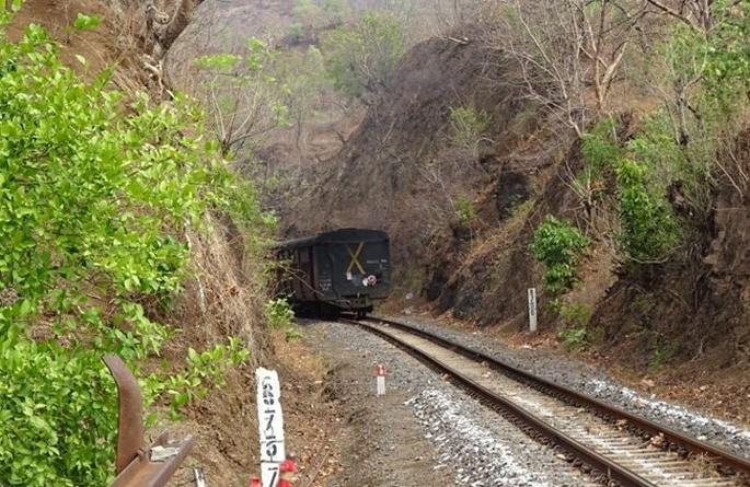 Akola-Khandwa route not goes through Melghat Tiger Reserve - State Wildlife Board | अकोला-खंडवा मार्ग मेळघाट व्याघ्र प्रकल्पातून नको -  राज्य वन्य जीव मंडळ Akola-Khandwa route not goes through Melghat Tiger Reserve - State Wildlife Board | अकोला-खंडवा मार्ग मेळघाट व्याघ्र प्रकल्पातून नको -  राज्य वन्य जीव मंडळ