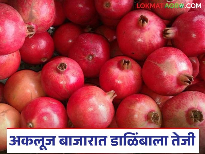Dalimb Bajar Bhav: Pomegranate has the highest price in Akluj Market Committee; How did you get the price per kilo? | Dalimb Bajar Bhav : अकलूज बाजार समितीत डाळिंबाला सर्वाधिक भाव; प्रति किलो कसा मिळाला दर?