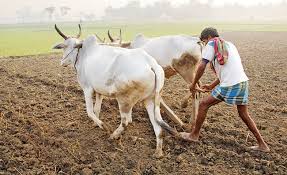 115 acres of land grabbed by lenders returns to farmers | सावकारांनी बळकावलेली ११५ एकर जमीन २२ शेतकऱ्यांना परत! 115 acres of land grabbed by lenders returns to farmers | सावकारांनी बळकावलेली ११५ एकर जमीन २२ शेतकऱ्यांना परत!