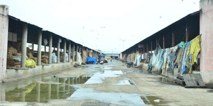 Due to untimely rains, the Akola market committee declined | अवकाळी पावसामुळे अकोला बाजार समितीत आवक घटली Due to untimely rains, the Akola market committee declined | अवकाळी पावसामुळे अकोला बाजार समितीत आवक घटली