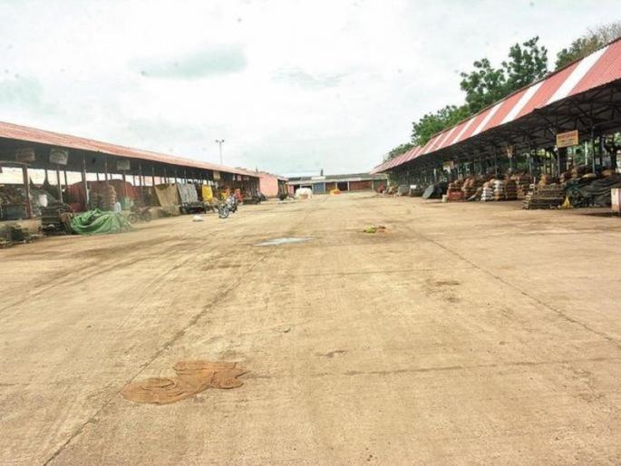 Akola Market Committee's trading closed indefinitely | अकोला बाजार समितीचे खरेदी-विक्रीचे व्यवहार बेमुदत बंद Akola Market Committee's trading closed indefinitely | अकोला बाजार समितीचे खरेदी-विक्रीचे व्यवहार बेमुदत बंद