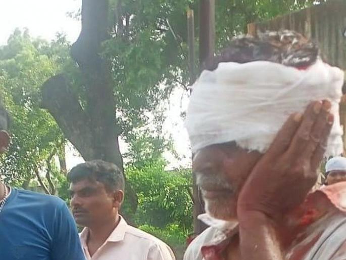 Akola: Farmer seriously injured in Nilgai collision, from Vadegaon to Digras Bu. Road incident | Akola: निलगायीच्या धडकेत शेतकरी गंभीर जखमी, वाडेगाव ते दिग्रस बु. रस्त्यावरील घटना Akola: Farmer seriously injured in Nilgai collision, from Vadegaon to Digras Bu. Road incident | Akola: निलगायीच्या धडकेत शेतकरी गंभीर जखमी, वाडेगाव ते दिग्रस बु. रस्त्यावरील घटना