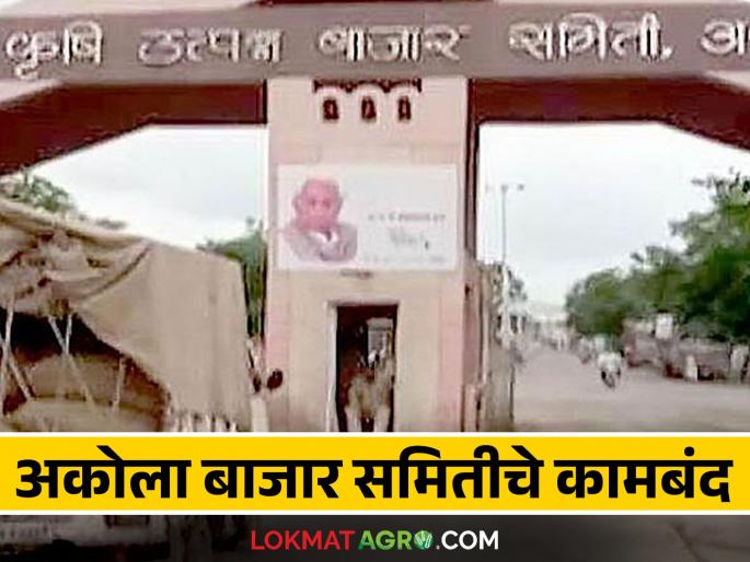 Market Yard : What is the reason why transactions worth crores are stalled in Akola Market Committee  | Market Yard : अकोला बाजार समितीत कोट्यवधींचे व्यवहार ठप्प काय आहे कारण  Market Yard : What is the reason why transactions worth crores are stalled in Akola Market Committee  | Market Yard : अकोला बाजार समितीत कोट्यवधींचे व्यवहार ठप्प काय आहे कारण