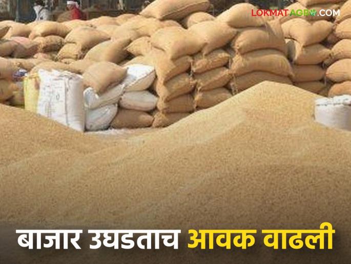 akola bajar samiti : Inflows of mung, urida decreased; There is no revision in the rate of Turi | akola bajar samiti : मूग, उडिदाची आवक घटली; तुरीचे दरात सुधारणा नाही akola bajar samiti : Inflows of mung, urida decreased; There is no revision in the rate of Turi | akola bajar samiti : मूग, उडिदाची आवक घटली; तुरीचे दरात सुधारणा नाही