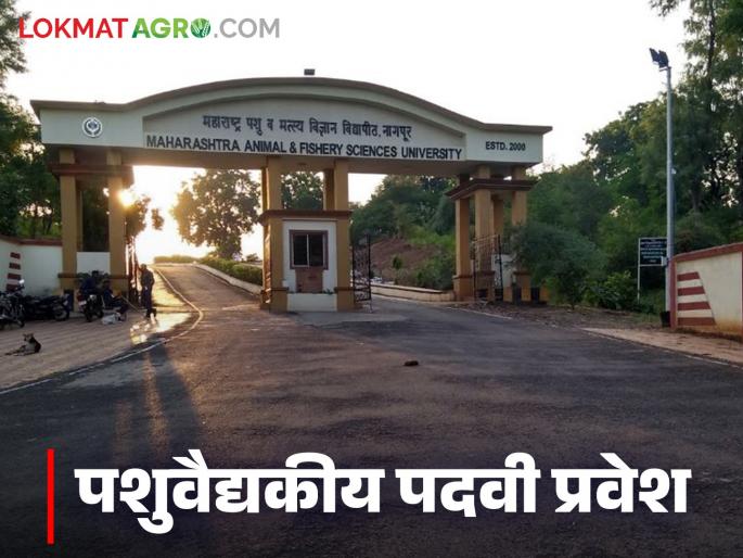 Admission process start in newly opened veterinary college in Akola; read in details | अकोला येथे नव्याने सुरु झालेल्या पशुवैद्यकीय महाविद्यालयाची प्रवेश प्रक्रिया सुरु; वाचा सविस्तर Admission process start in newly opened veterinary college in Akola; read in details | अकोला येथे नव्याने सुरु झालेल्या पशुवैद्यकीय महाविद्यालयाची प्रवेश प्रक्रिया सुरु; वाचा सविस्तर
