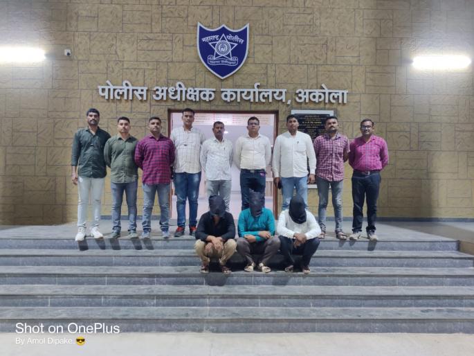 three arrested for theft cattle in akola | गुरे चाेरणाऱ्या तीन जणांना अटक; पोलिसांकडून मुद्देमाल जप्त three arrested for theft cattle in akola | गुरे चाेरणाऱ्या तीन जणांना अटक; पोलिसांकडून मुद्देमाल जप्त