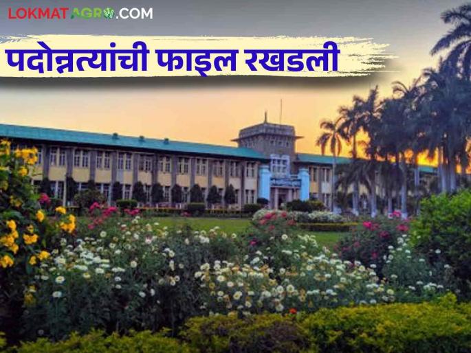 Dr. pdkv : Promotion of 'Agriculture' professors stalled; Read the case in detail | Dr. pdkv : 'कृषी'च्या प्राध्यापकांची पदोन्नती रखडली; काय आहे प्रकरण वाचा सविस्तर