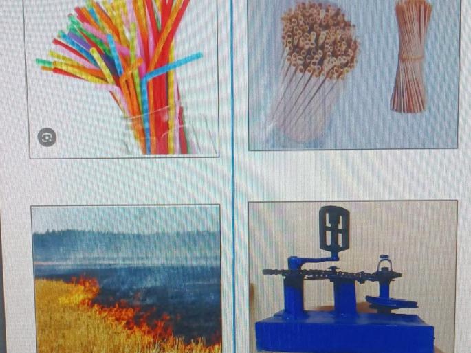 straw made from wheat stalk tops the state | गव्हाच्या कांड्यापासून बनविलेले स्ट्रॉ राज्यस्तरावर अव्वल!