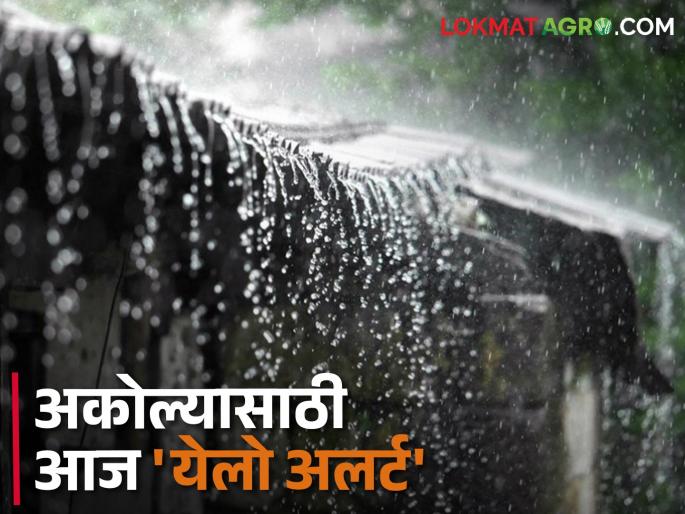 Changes in Vidarbha's climate; 'Yellow Alert' for Akola today | विदर्भाच्या हवामानात बदल; अकोल्यासाठी आज 'येलो अलर्ट' Changes in Vidarbha's climate; 'Yellow Alert' for Akola today | विदर्भाच्या हवामानात बदल; अकोल्यासाठी आज 'येलो अलर्ट'