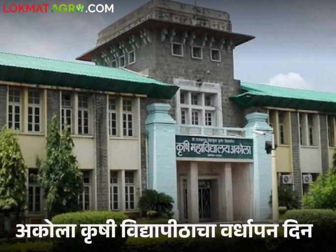 Latest News Agriculture News Akola Agricultural University developed 181 new varieties in 55 years, read in detail  | Agriculture News : अकोला कृषी विद्यापीठाकडून 55 वर्षांत 181 नवे वाण विकसित, वाचा सविस्तर  Latest News Agriculture News Akola Agricultural University developed 181 new varieties in 55 years, read in detail  | Agriculture News : अकोला कृषी विद्यापीठाकडून 55 वर्षांत 181 नवे वाण विकसित, वाचा सविस्तर