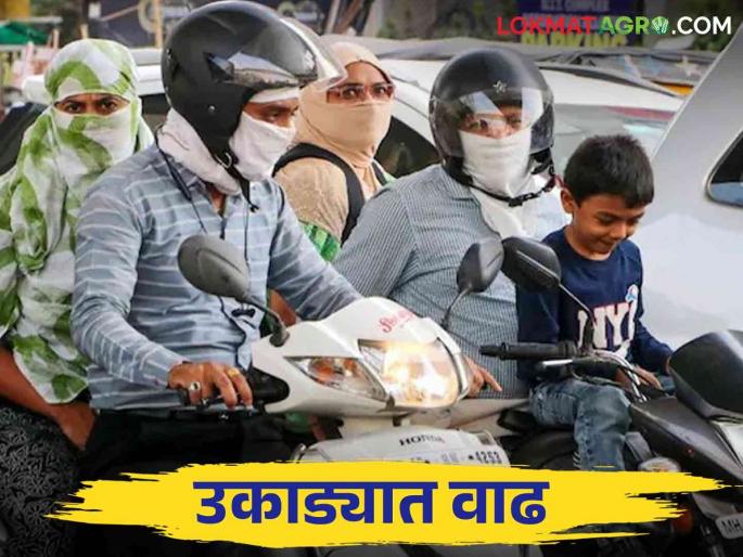 Akola Weather Today : Weather changes after rains stop; Akolekar was taired by the heat | Akola Weather Today : पाऊस थांबल्यानंतर वातावरणात बदल; उकाड्याने अकोलेकर झाले हैराण Akola Weather Today : Weather changes after rains stop; Akolekar was taired by the heat | Akola Weather Today : पाऊस थांबल्यानंतर वातावरणात बदल; उकाड्याने अकोलेकर झाले हैराण