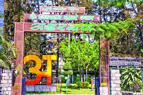 Activities like Girgaar Marathi, Aksharbagh, Teachyas, and the activities of small children to learn the language | अक्षरबागेत गिरवा मराठीचे धडे , लहान मुलांना भाषेची गोडी लागण्यासाठी उपक्रम Activities like Girgaar Marathi, Aksharbagh, Teachyas, and the activities of small children to learn the language | अक्षरबागेत गिरवा मराठीचे धडे , लहान मुलांना भाषेची गोडी लागण्यासाठी उपक्रम