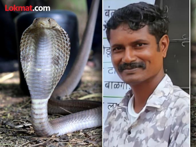 Snake lover dies during treatment due to snake bite in Alandi | आळंदीत सर्पदंशाने सर्पमित्राचा उपचारादरम्यान मृत्यू Snake lover dies during treatment due to snake bite in Alandi | आळंदीत सर्पदंशाने सर्पमित्राचा उपचारादरम्यान मृत्यू