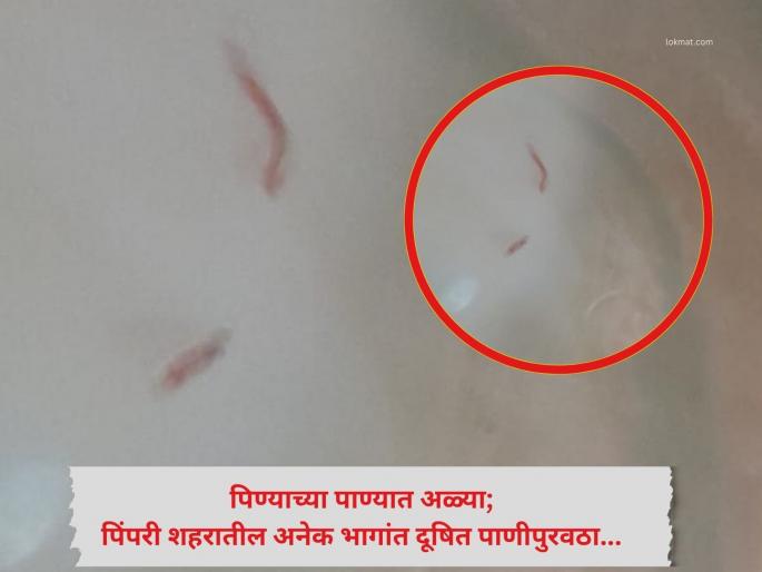 Pimpari-chinchwad Water pollution Larvae in drinking water; Contaminated water supply in many parts of the city is playing with the health of citizens: Administration is not serious | Video : पिण्याच्या पाण्यात अळ्या; पिंपरी शहरातील अनेक भागांत दूषित पाणीपुरवठा; नागरिकांच्या आरोग्याशी खेळ Pimpari-chinchwad Water pollution Larvae in drinking water; Contaminated water supply in many parts of the city is playing with the health of citizens: Administration is not serious | Video : पिण्याच्या पाण्यात अळ्या; पिंपरी शहरातील अनेक भागांत दूषित पाणीपुरवठा; नागरिकांच्या आरोग्याशी खेळ