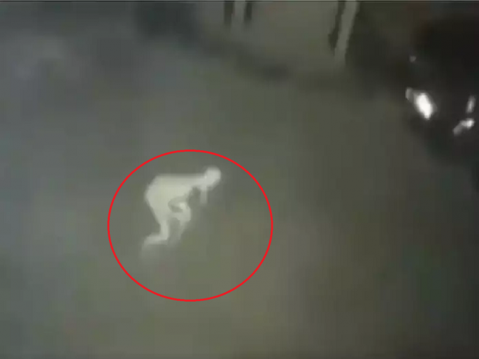 Watch Viral Video of Spooky Pale Creature Caught On Camera In Us, People Says Aliens | Viral Video: अमेरिकेत आढळला एलियन; CCTV कॅमेऱ्यात दिसला विचित्र प्राणी, पाहा चकीत करणारा व्हिडिओ