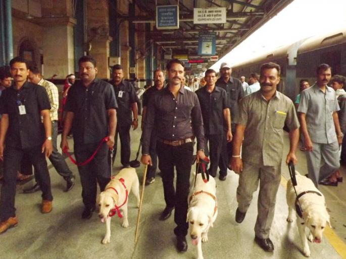 High alert issued on Nagpur railway station: BDDS deployed | नागपूर रेल्वेस्थानकावर हाय अलर्ट जारी : बॉम्बशोधक व नाशक पथक तैनात High alert issued on Nagpur railway station: BDDS deployed | नागपूर रेल्वेस्थानकावर हाय अलर्ट जारी : बॉम्बशोधक व नाशक पथक तैनात
