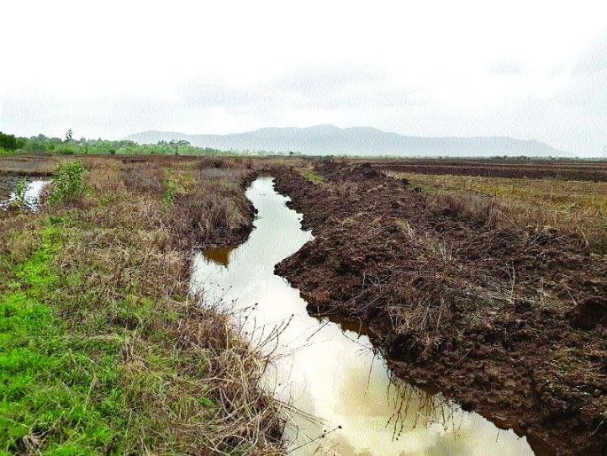 700 acres of agriculture hazard in four villages | चार गावांत ७०० एकर शेती धोक्यात 700 acres of agriculture hazard in four villages | चार गावांत ७०० एकर शेती धोक्यात