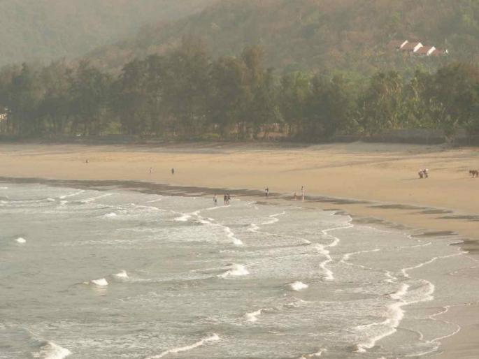 An unknown body was found in Alibaug Akshi creek | अलिबागच्या आक्षी खाडीत सापडला अज्ञाताचा मृतदेह An unknown body was found in Alibaug Akshi creek | अलिबागच्या आक्षी खाडीत सापडला अज्ञाताचा मृतदेह