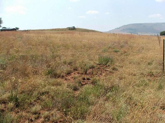 Although the year is over, there is no topographic report of the administration | वर्ष लोटले तरी प्रशासनाचा स्थळपाहणी अहवाल नाही